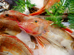 Fish Market in Milano, Italy